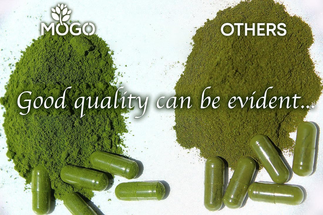 100% Organic Moringa Capsules! Unlock Nature’s Superpower